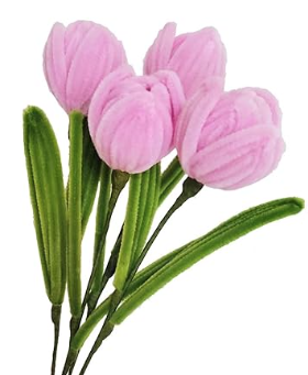 Pipe cleaner flowers