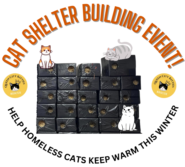 Cat Shelter Event