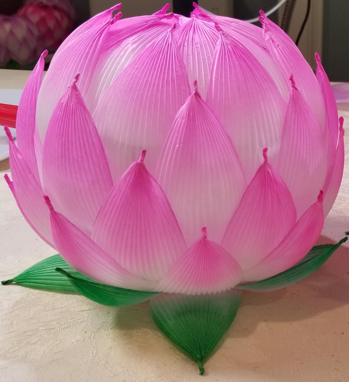 lotus lantern